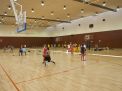 Vila d’Horta 2011