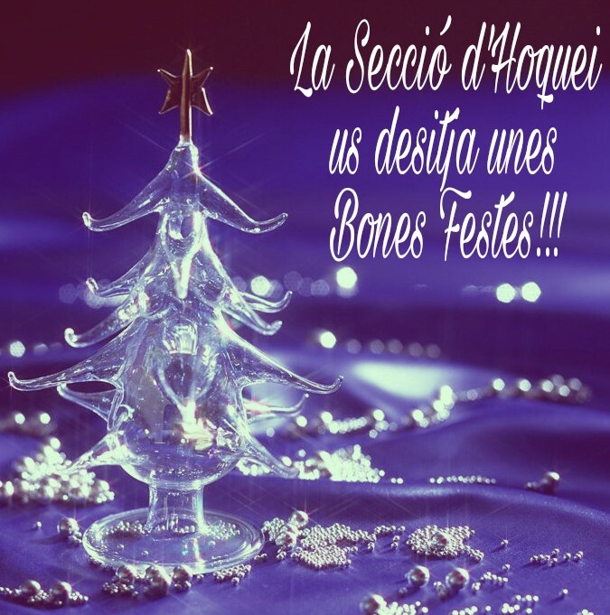 Molt Bones Festes!!!