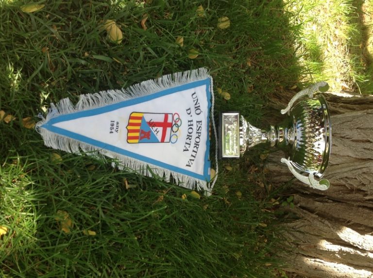 Subcampionns de la Copa Fanaticos