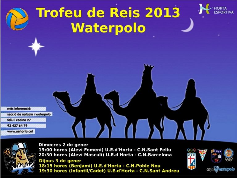 Torneig de Reis 2013
