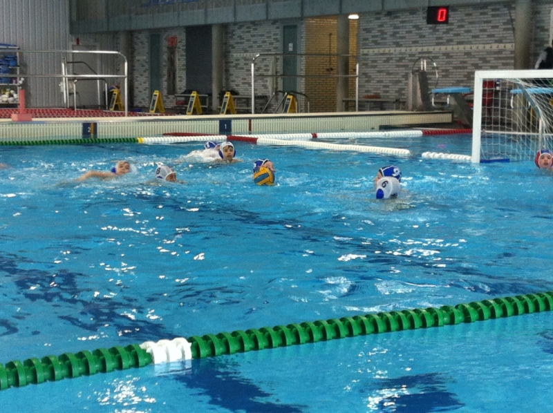 Diumenge de WP: escola, prebenjamins i benjamins