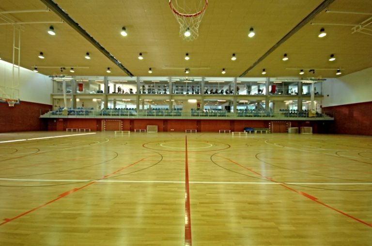 Diada del Club