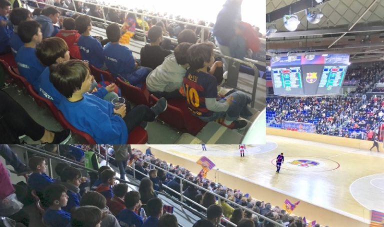 Invasió d’ hortencs al Palau