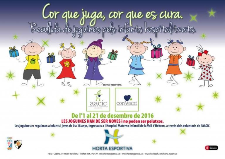 Recollida de joguines