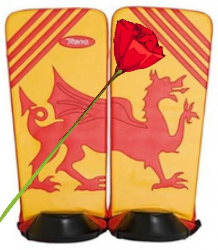 Sant Jordi 2015