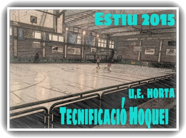 TECNIFICACIÓ ESTIUENCA 2015