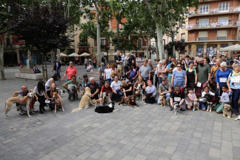 Èxit de participació al 5è Camí Gos
